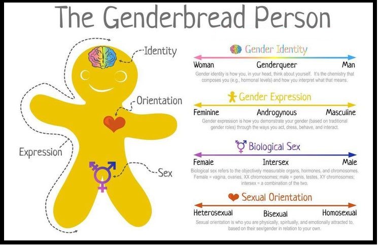 How to input Sexual Orientation and Gender Identity – Compass Family ...